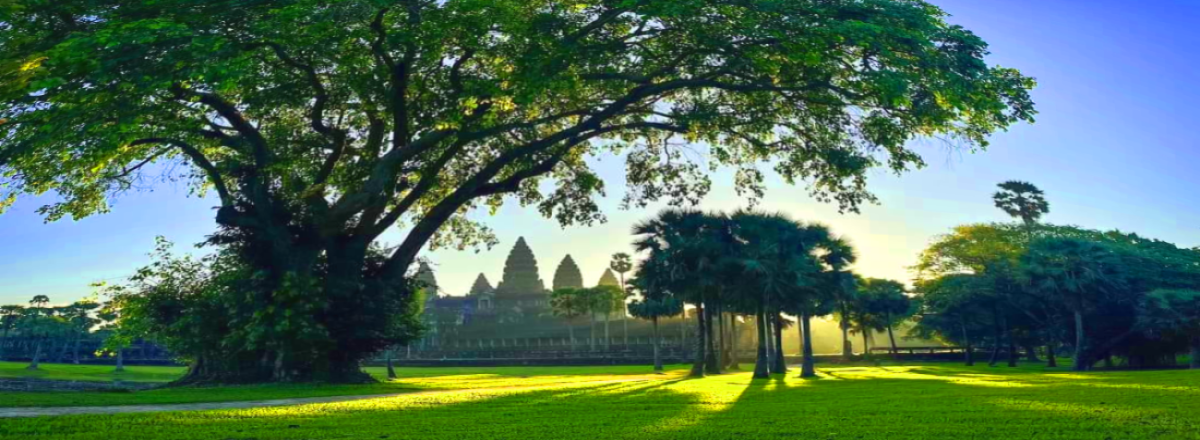 Angkor Wat Temple